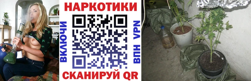 Все наркотики Краснозаводск Cocaine  APVP  МАРИХУАНА 