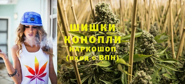 прущие грибы Пролетарск
