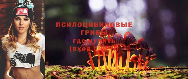 прущие грибы Пролетарск