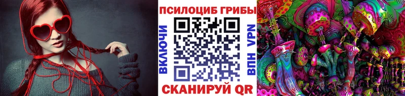 купить наркотик  это официальный сайт  Галлюциногенные грибы MAGIC MUSHROOMS  Краснозаводск 